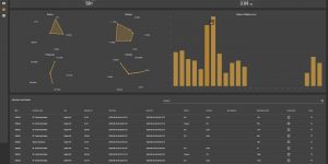 Sentry-C2_Analytics+Summary